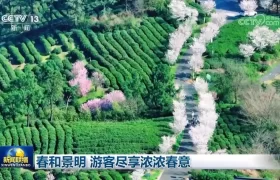 春和景明 游客尽享浓浓春意