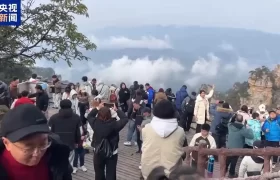 清明假期“短途游”成热门选择