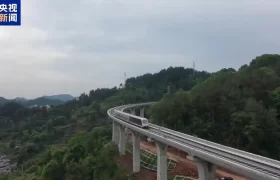 清明假期“短途游”成热门选择