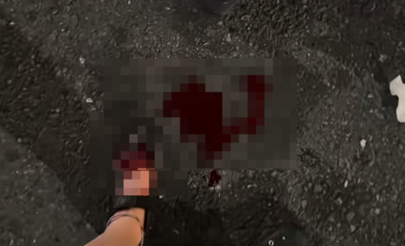 日本东京街头鼠患严重!根本不怕人 有迪拜女游客脚被咬出血